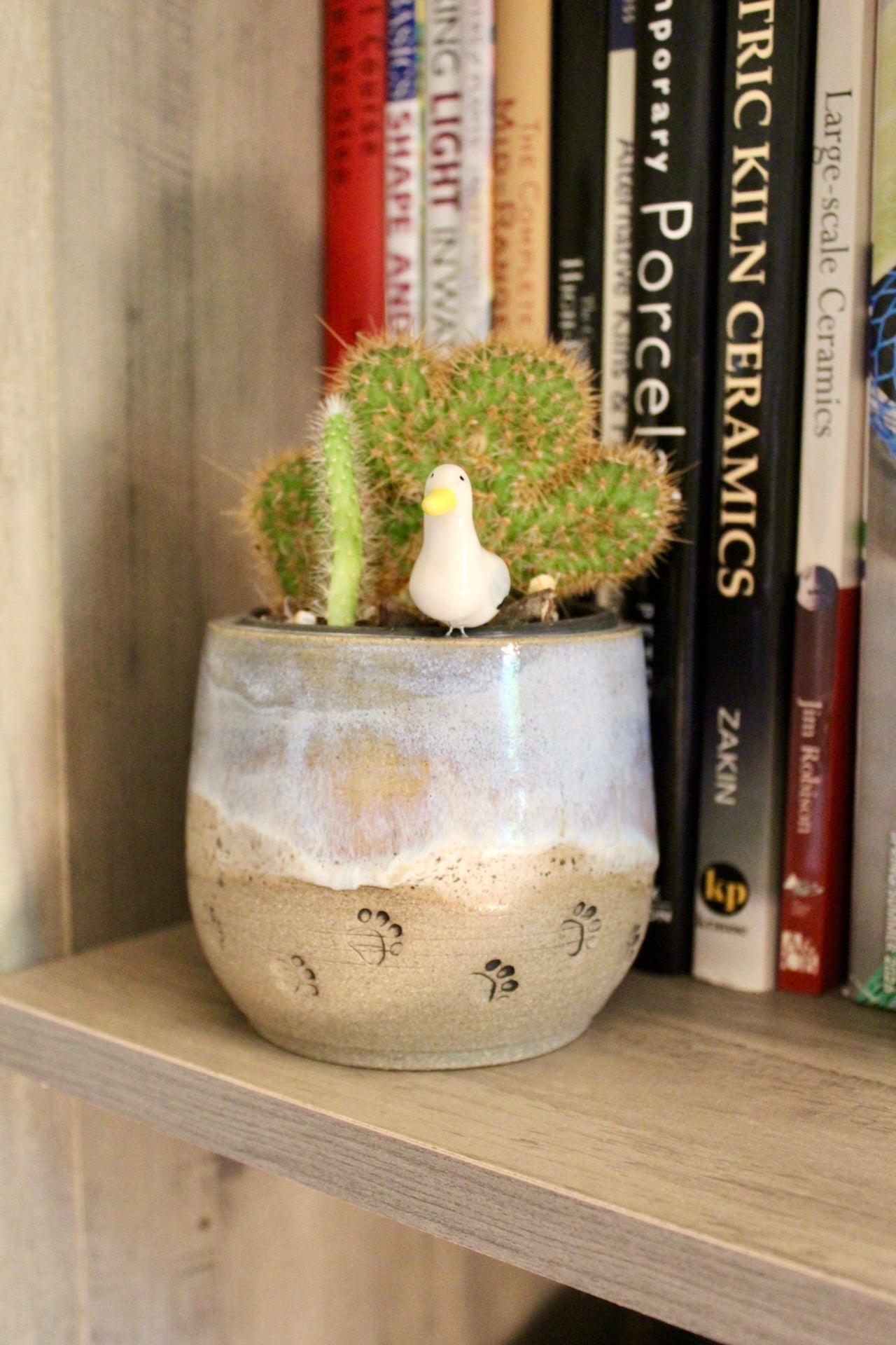 Paw Prints in the Sand Seagull Planter | SharkWeens Collection