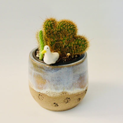 Paw Prints in the Sand Seagull Planter | SharkWeens Collection