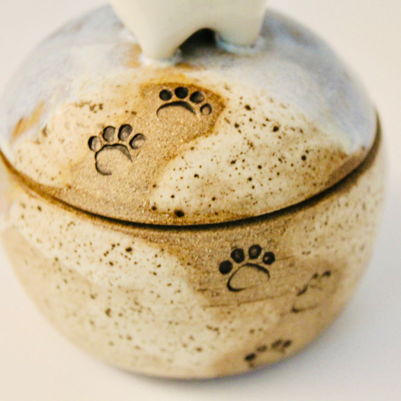 Paw Prints in the Sand Treasure Jar | SharkWeens Collection