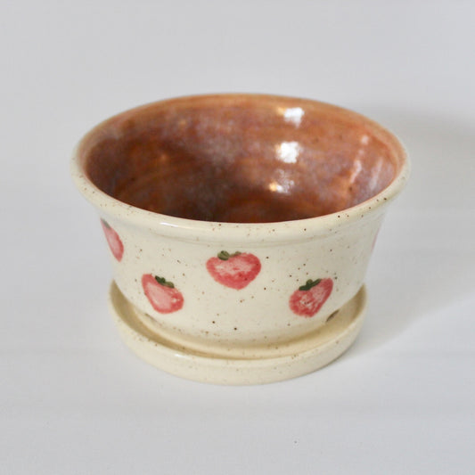 Strawberry Planter