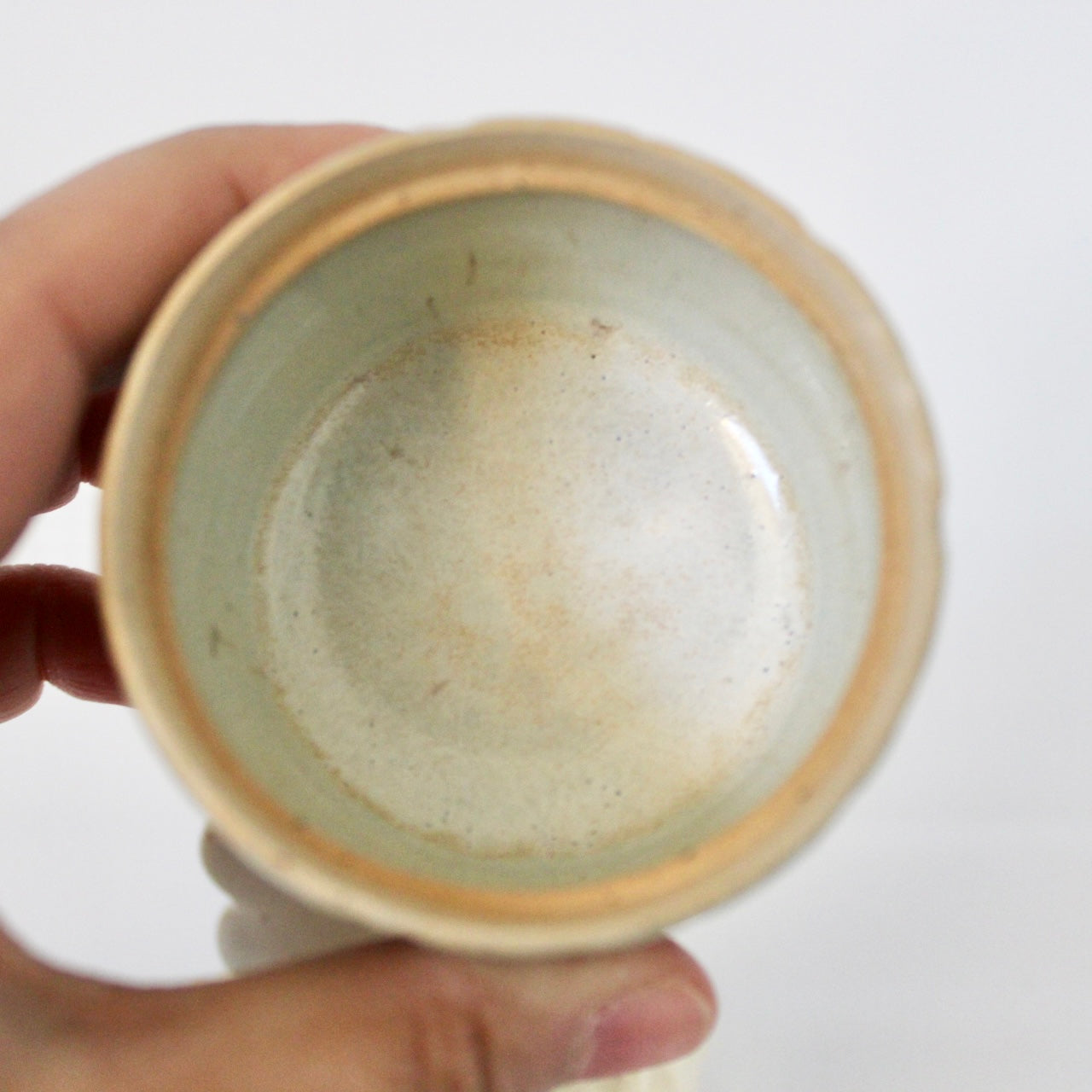 Dog Biscuit Cupcake Box