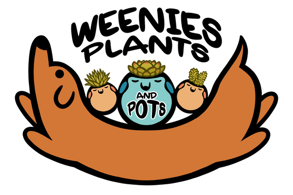 Weenies, Plants, & Pots